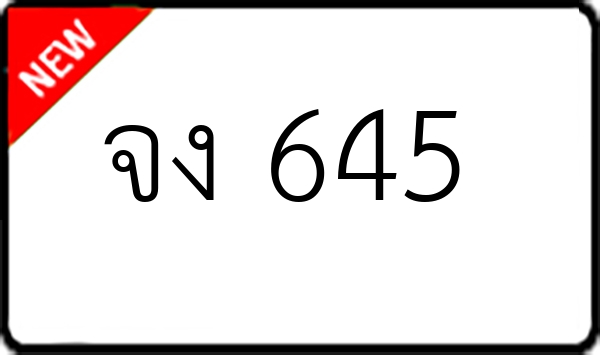 จง 645